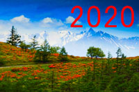 2020NVy